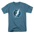 Blue Lantern Flash T-shirt Hoodie, Sweatshirt | ZylaModa.com