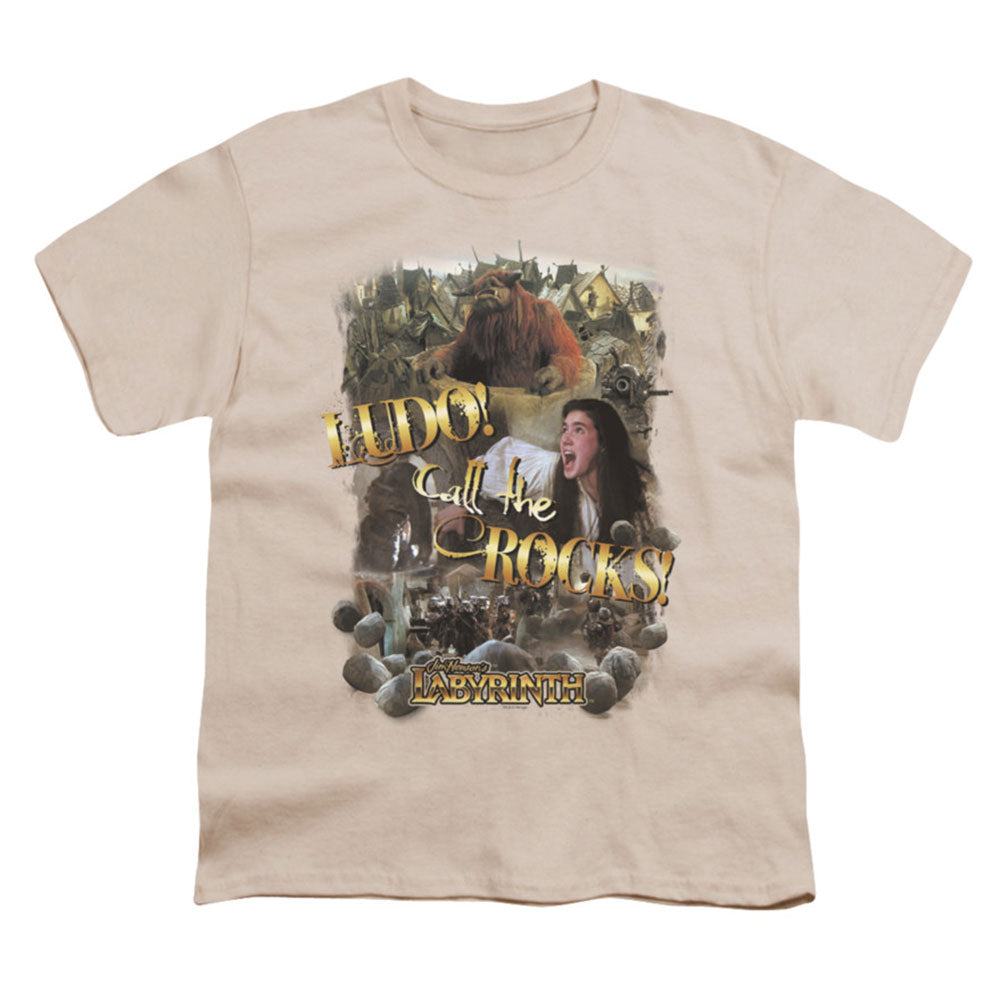 Call The Rocks Youth T-shirt Hoodie, Sweatshirt | ZylaModa.com
