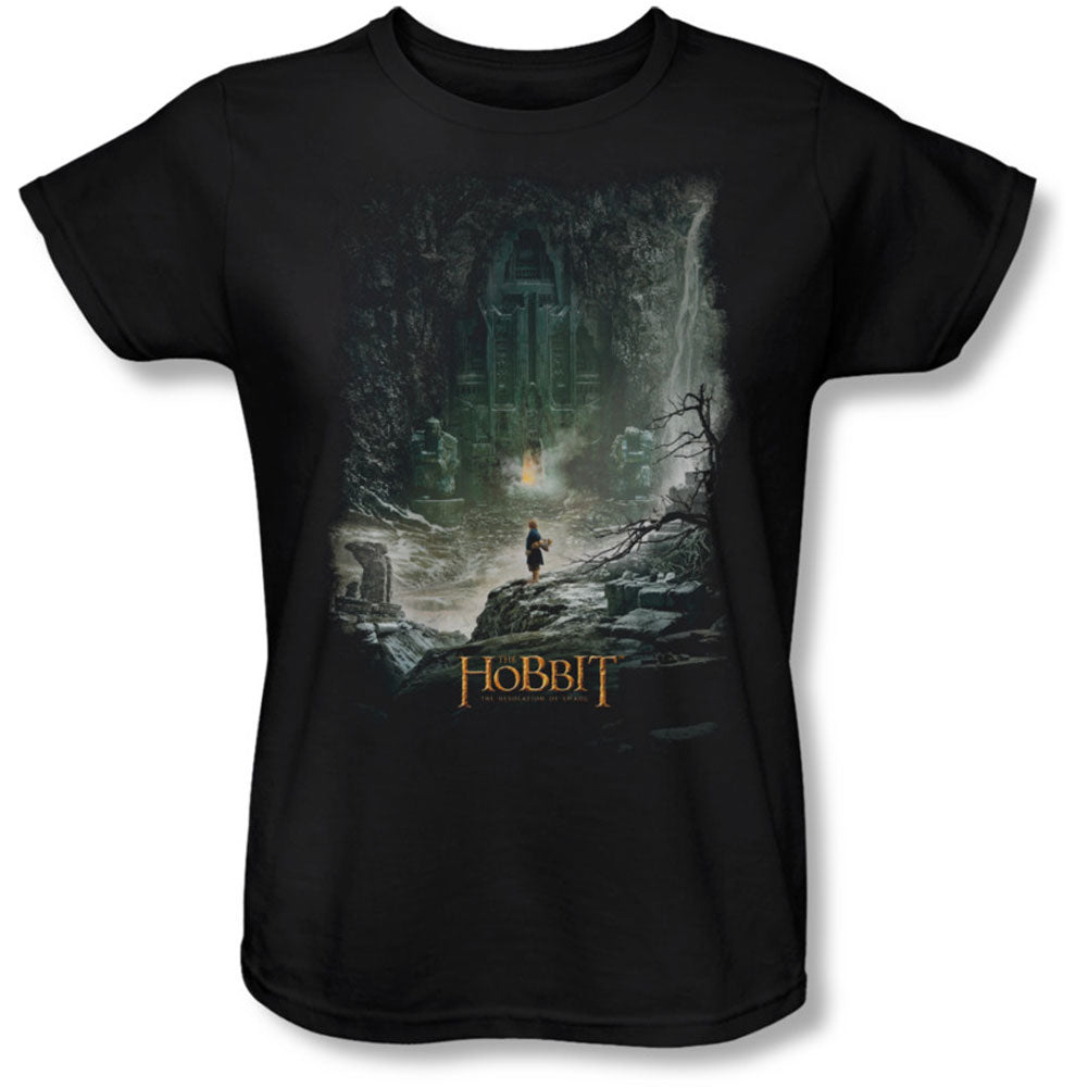At Smaug's Door Womens T-shirt Hoodie, Sweatshirt | ZylaModa.com