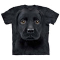 Black Lab Puppy T-shirt Hoodie, Sweatshirt | ZylaModa.com