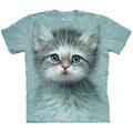 Blue Eyed Kitten T-shirt Hoodie, Sweatshirt | ZylaModa.com