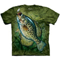 Crappie T-shirt Hoodie, Sweatshirt | ZylaModa.com