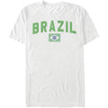 Brazil Flag T-shirt Hoodie, Sweatshirt | ZylaModa.com