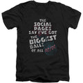 Big Balls Adult V-Neck Slim Fit T-shirt Hoodie, Sweatshirt | ZylaModa.com