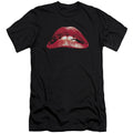 Classic Lips Premium Canvas Brand Slim Fit T-shirt Hoodie, Sweatshirt | ZylaModa.com