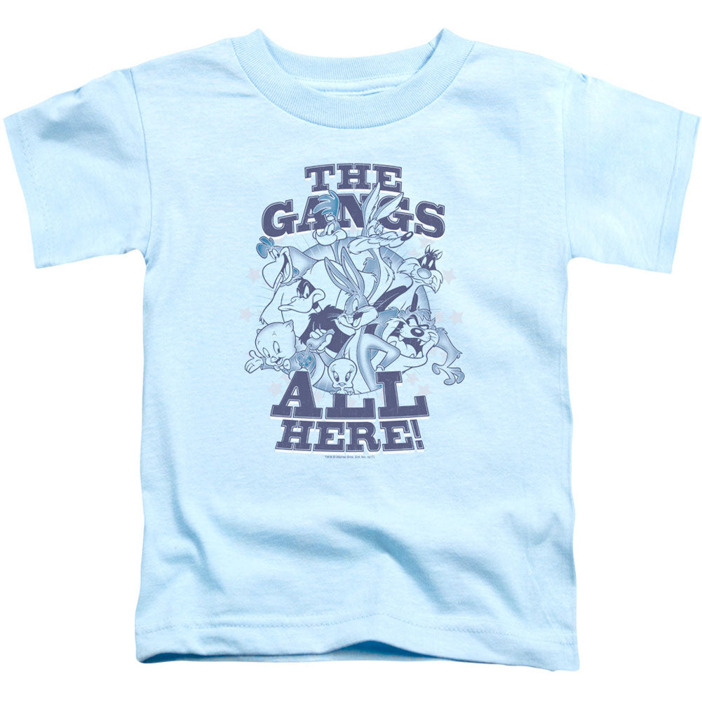 Blue Gang Toddler Childrens T-shirt Hoodie, Sweatshirt | ZylaModa.com