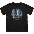 Division Bell Cover Youth T-shirt Hoodie, Sweatshirt | ZylaModa.com