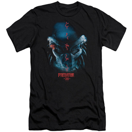 30th Anniversary Adult Slim Fit Slim Fit T-shirt Hoodie, Sweatshirt | ZylaModa.com