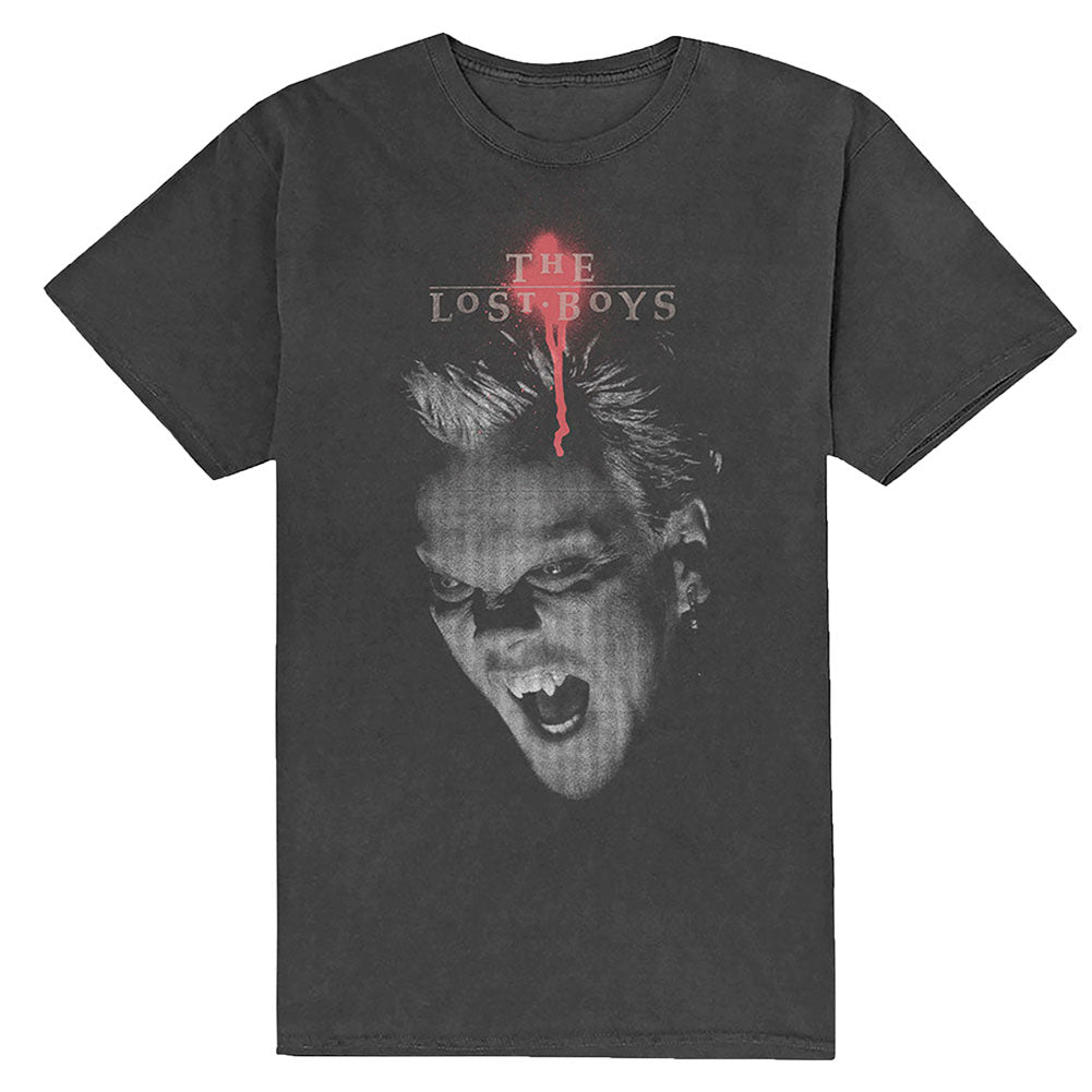 David Graphic Slim Fit T-shirt Hoodie, Sweatshirt | ZylaModa.com