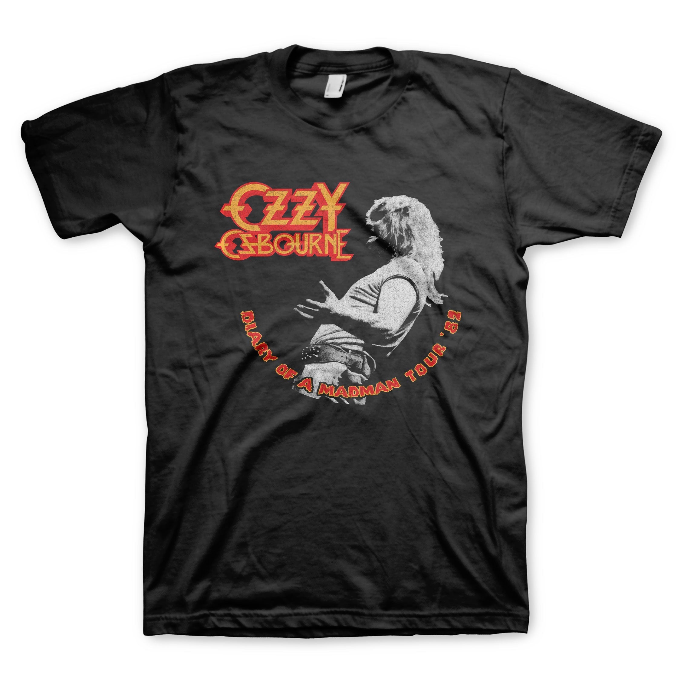 Diary Tour 82 T-shirt Hoodie, Sweatshirt | ZylaModa.com