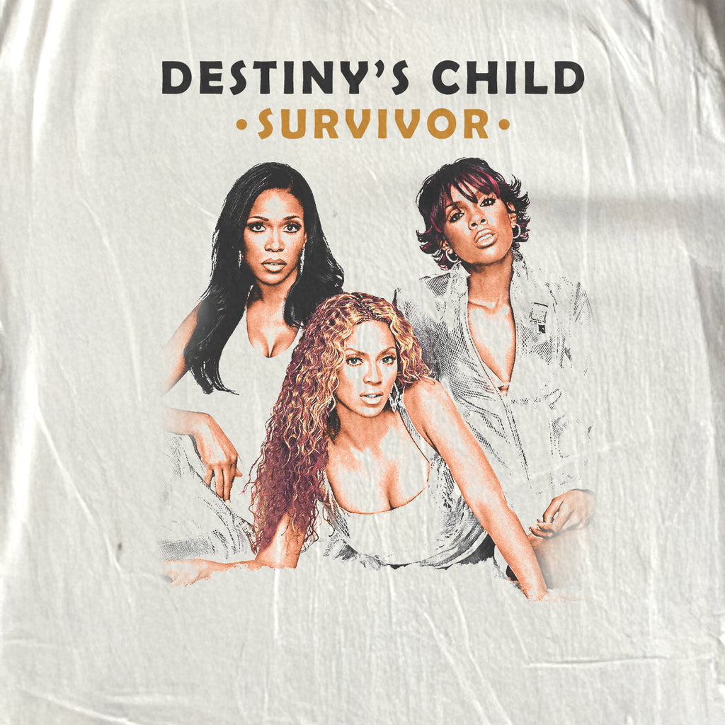 DESTINY'S CHILD HEAVYWEIGHT WHITE T-SHIRT Hoodie, Sweatshirt | ZylaModa.com (Image 2)