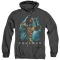 Aquaman Movie Trident - Heather Pullover Hoodie T-Shirts, Sweatshirt | ZylaModa.com