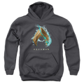 Aquaman Movie Water Shield - Youth Hoodie T-Shirts, Sweatshirt | ZylaModa.com