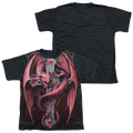Anne Stokes Gothic Guardian - Youth Black Back T-Shirt (Ages 8-12) Hoodie, Sweatshirt | ZylaModa.com