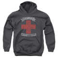 Bon Jovi Bad Medicine - Youth Hoodie T-Shirts, Sweatshirt | ZylaModa.com