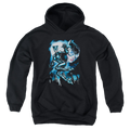 Catwoman Moonlight Cat - Youth Hoodie T-Shirts, Sweatshirt | ZylaModa.com