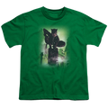 Catwoman Catwoman #63 Cover - Youth T-Shirt Hoodie, Sweatshirt | ZylaModa.com