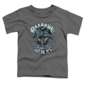 Bane Bane Will Break You - Toddler T-Shirt Hoodie, Sweatshirt | ZylaModa.com