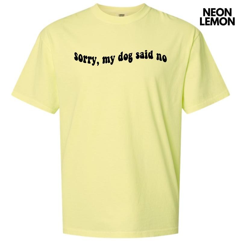 Black My Dog Said No Comfort Colors T-Shirt 'NLB' Hoodie, Sweatshirt | ZylaModa.com