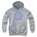 American Vandal Hanover Seal - Youth Hoodie T-Shirts, Sweatshirt | ZylaModa.com