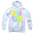 Beverly Hills 90210 Color Block Of Friends - Youth Hoodie T-Shirts, Sweatshirt | ZylaModa.com
