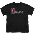 Chevrolet Chrome Script - Youth T-Shirt (Ages 8-12) Hoodie, Sweatshirt | ZylaModa.com