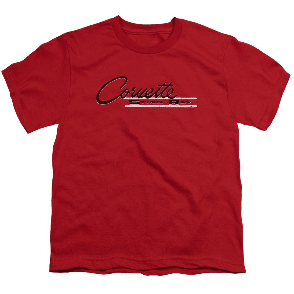 Chevrolet Retro Stingray - Youth T-Shirt (Ages 8-12) Hoodie, Sweatshirt | ZylaModa.com