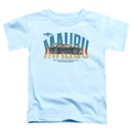 Chevrolet Thumbs Up - Toddler T-Shirt Hoodie, Sweatshirt | ZylaModa.com