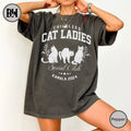 Childless Cat Lady Kamala Shirt, Kamala Harris President 2024 Shirt, Womens Power, Girl Power, Democrat T-shirt, Equal...