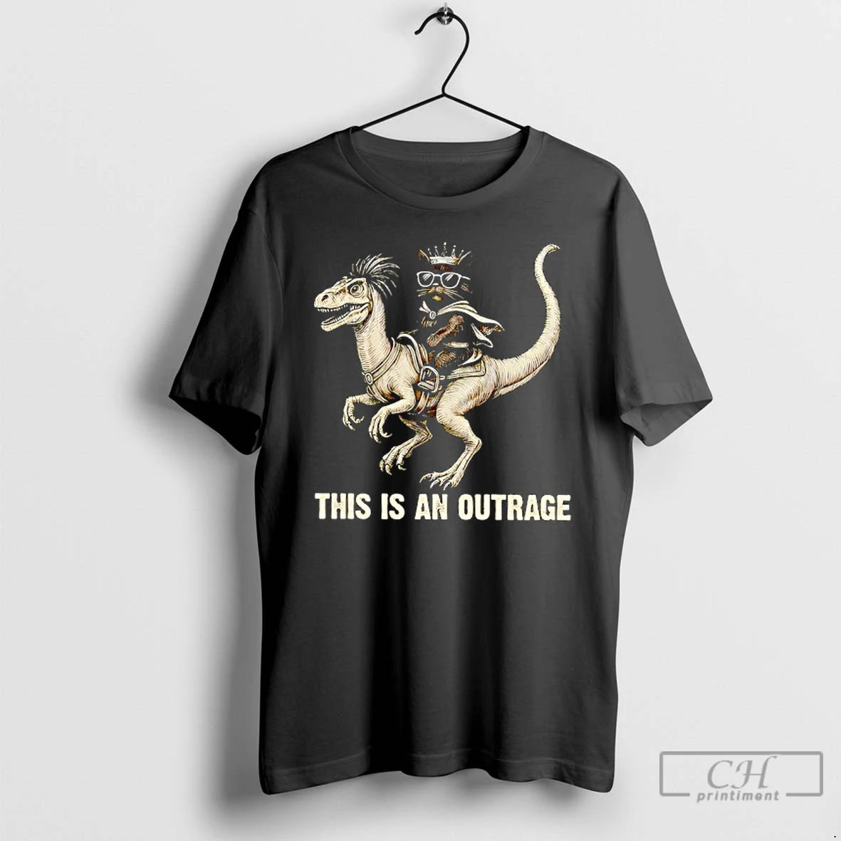 Classic This Is An Outrage For Cat Lover T-Shirts, Hoodie, Sweatshirt | ZylaModa.com