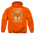 Aquaman Aquaman - Pullover Hoodie T-Shirts, Sweatshirt | ZylaModa.com