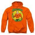 Aquaman Aquaman - Pullover Hoodie Style002 T-Shirts, Sweatshirt | ZylaModa.com