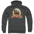 Dark Crystal Aughra Circle - Pullover Hoodie T-Shirts, Sweatshirt | ZylaModa.com