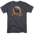 Dark Crystal Aughra Circle - Men's Regular Fit T-Shirt Hoodie, Sweatshirt | ZylaModa.com