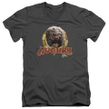 Dark Crystal Aughra Circle - Men's V-Neck T-Shirt Hoodie, Sweatshirt | ZylaModa.com