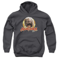 Dark Crystal Aughra Circle - Youth Hoodie (Ages 8-12) T-Shirts, Sweatshirt | ZylaModa.com