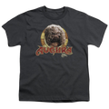 Dark Crystal Aughra Circle - Youth T-Shirt (Ages 8-12) Hoodie, Sweatshirt | ZylaModa.com