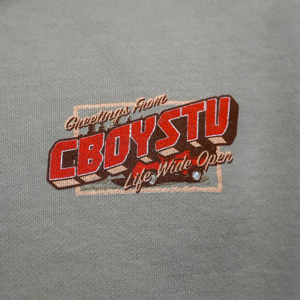 Parked and Wrecked Hoodie T-Shirts, Sweatshirt | ZylaModa.com (Image 4)