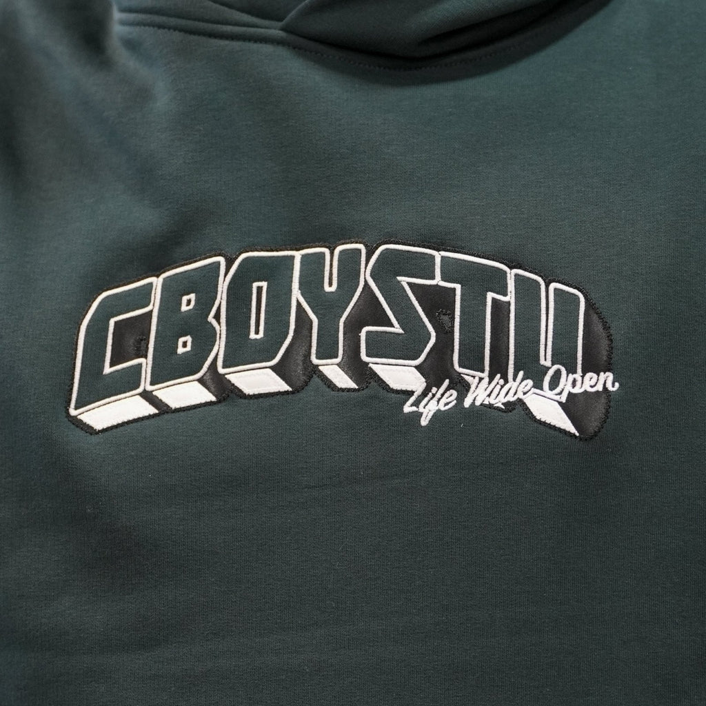 Collegiate Applique Hoodie T-Shirts, Sweatshirt | ZylaModa.com (Image 3)