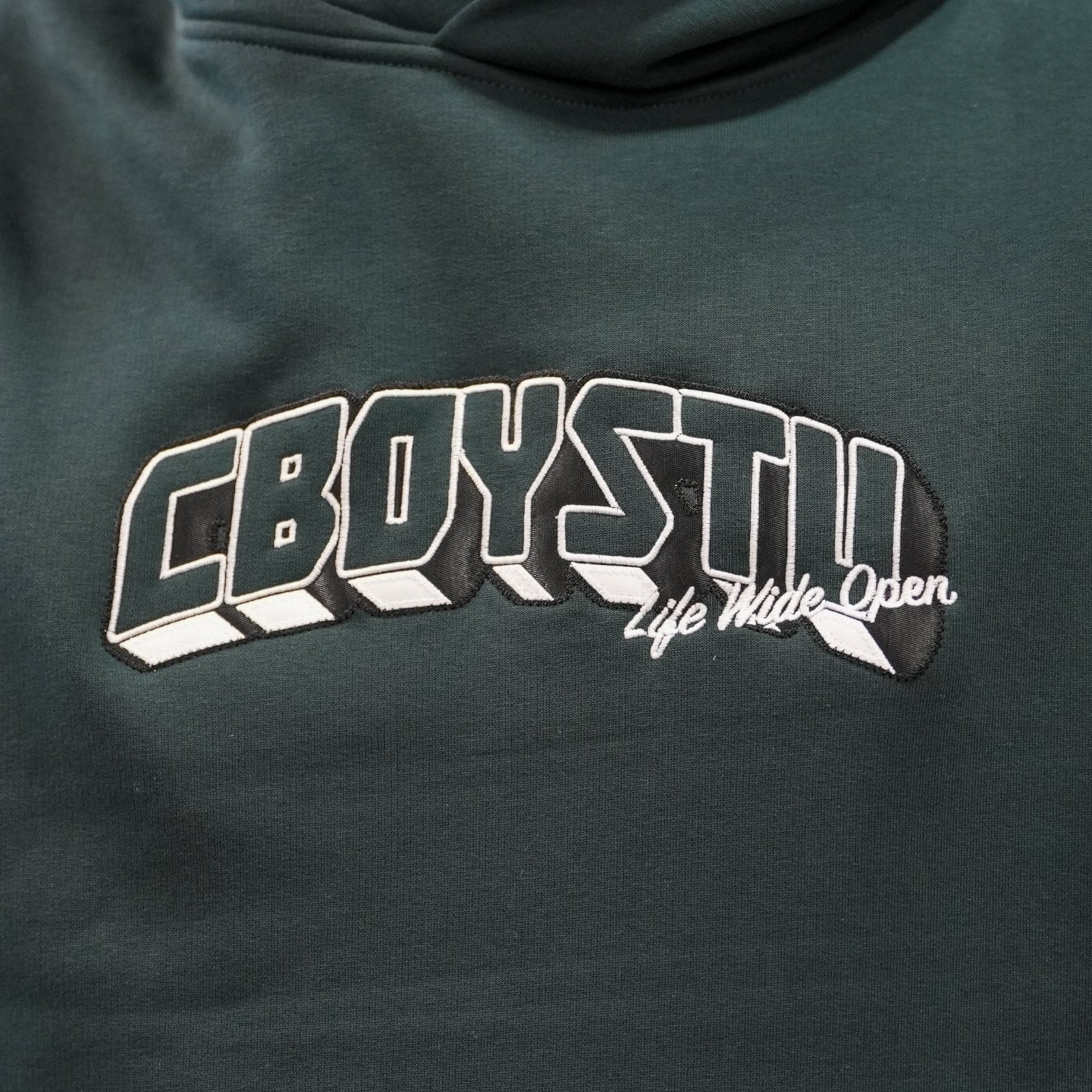 Collegiate Applique Hoodie T-Shirts, Sweatshirt | ZylaModa.com (Image 3)