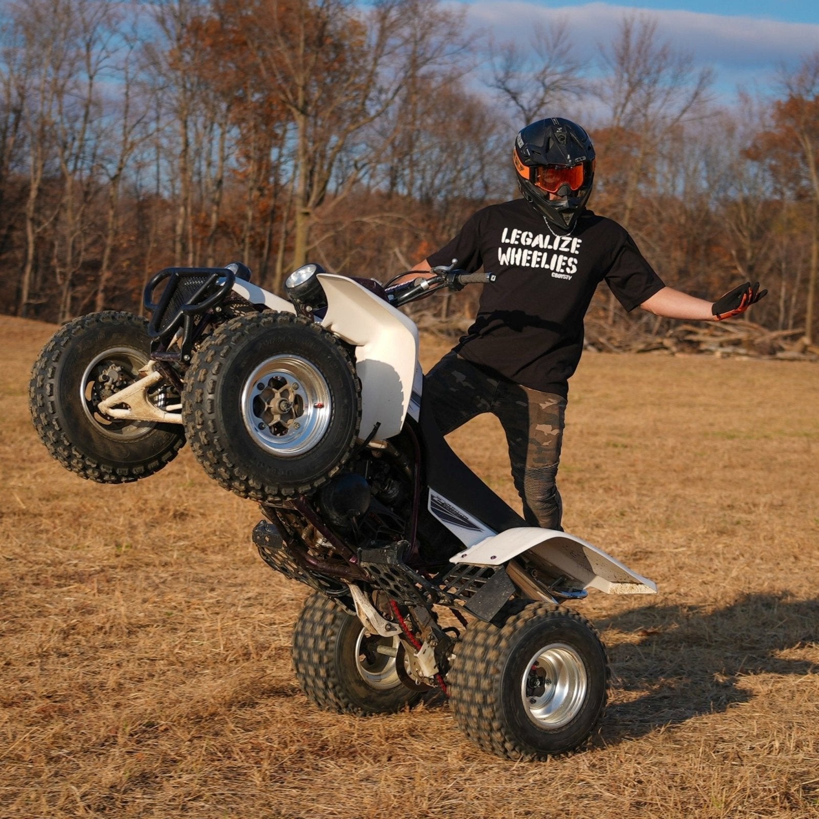 Legalize Wheelies Tee Hoodie, Sweatshirt | ZylaModa.com (Image 3)