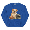 English Bulldog Football Sweatshirt - Unisex Apparel Relaxed Fit Printed In The USA Clothing Womenswear Casual Comfort...