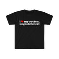 Funny Meme Shirt, I Love My Rotten, Ungrateful Cat Cute Tee, Gift Unisex T-Shirt Hoodie, Sweatshirt | ZylaModa.com
