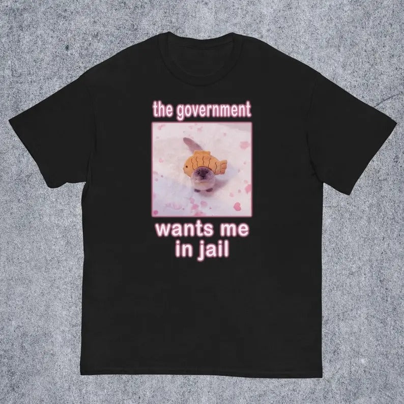 Funny Meme Shirt, The Government Wants Me in Jail Tee, Cat Lover Gift Unisex T-Shirt Hoodie, Sweatshirt | ZylaModa.com
