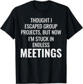Funny Work Shirts, Work Memes Office Comedy Workplace Meetings Funny Humor T-Shirt Menswear Casual Cotton Hoodie, Sweatshirt
