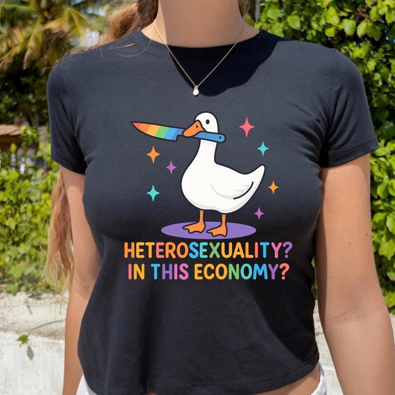 Heterosexuality In This Economy Baby Tee, Pride Shirt, LGBTQ Shirt, Sexy Top Fitted Hoodie, Sweatshirt | ZylaModa.com