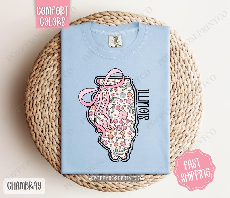 Illinois Comfort Colors State Tshirt, Cute Illinois Shirt, Illinois Tshirt, Illinois Shirt Hoodie, Sweatshirt | ZylaModa.com