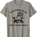 It Is What It Is And It Is Not Great Chillin Funny Raccoon Joke Meme Cartoon Funny Gift Tee TShirt Hoodie, Sweatshirt
