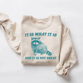 It Is What It Is And It Is Not Great Sweatshirt, Raccoon Shirt, Mental Health Sweatshirt, Meme Sweatshirt, Funny...