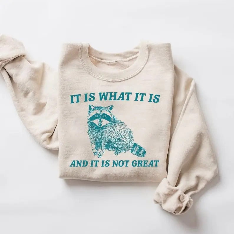 It Is What It Is And It Is Not Great Sweatshirt, Raccoon Shirt, Mental Health Sweatshirt, Meme Sweatshirt, Funny...